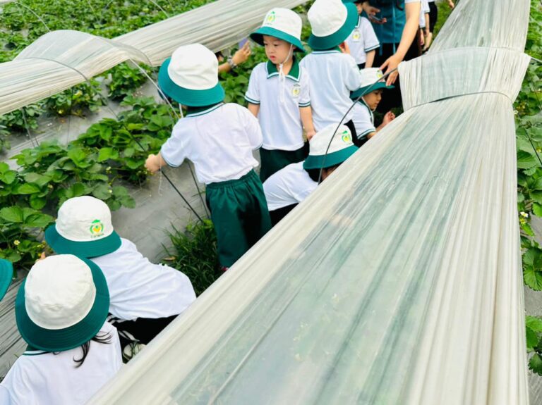 478282963_607048258892802_1557400076779279558_n